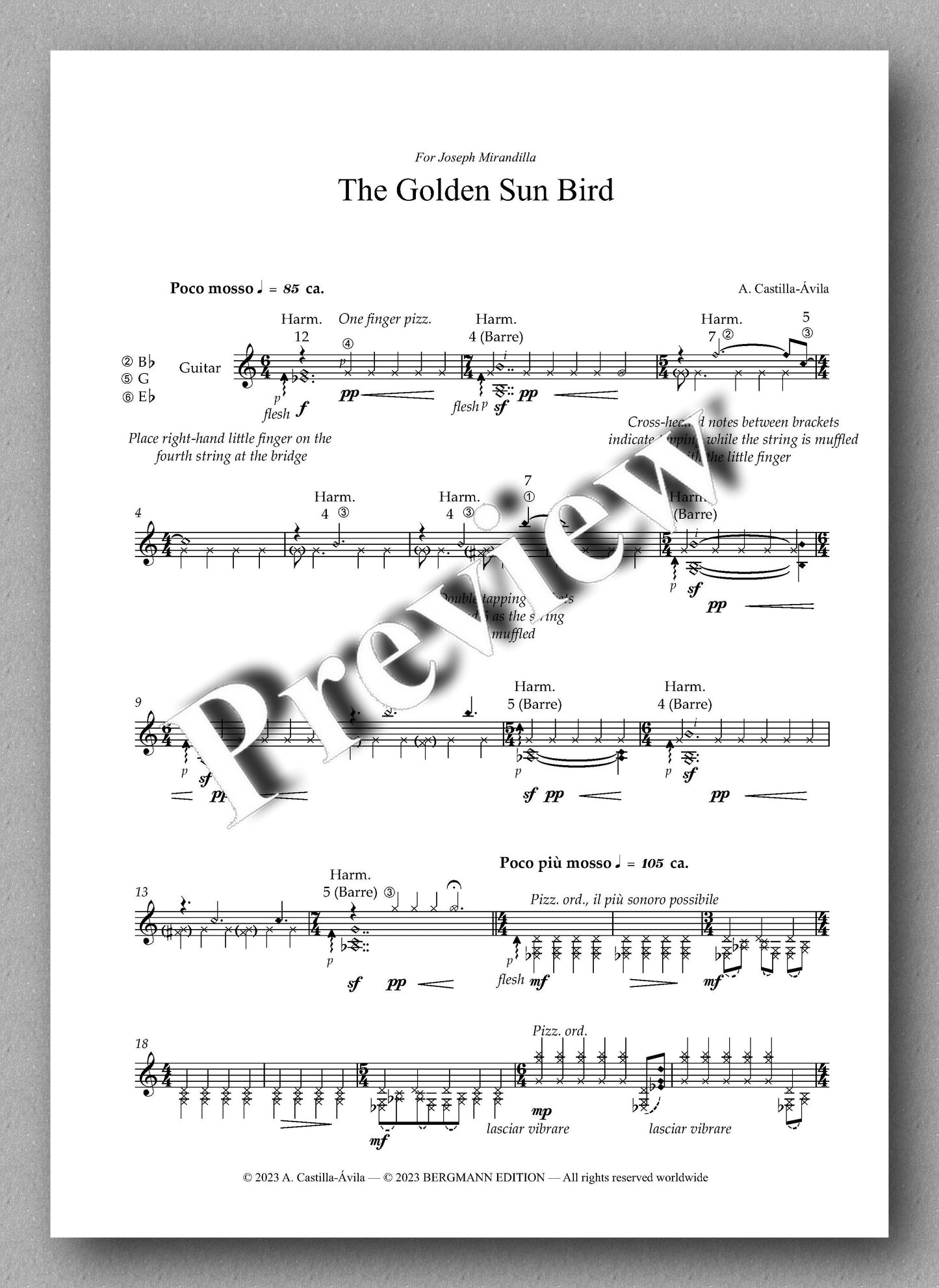 Agustin Castilla-Ávila, The Golden Sun Bird - preview of the music score 1