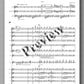 Roland Chadwick - Concerto Brasileiras - preview of the  music score 1