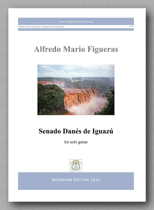 Alfredo Mario Figueras, Senado Danés de Iguazú - preview of the cover