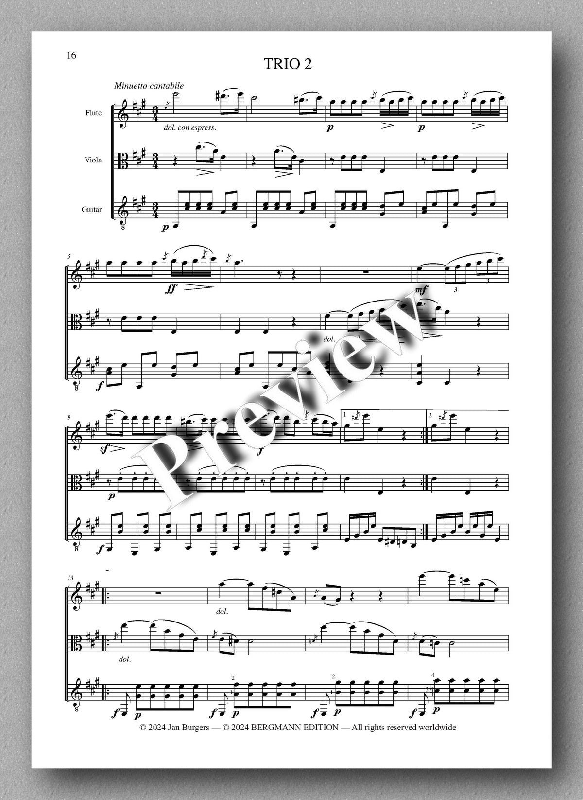 Francesco Molino, Three Trios for Flute, Viola and Guitar (Opus 19) - preview of the music score 2