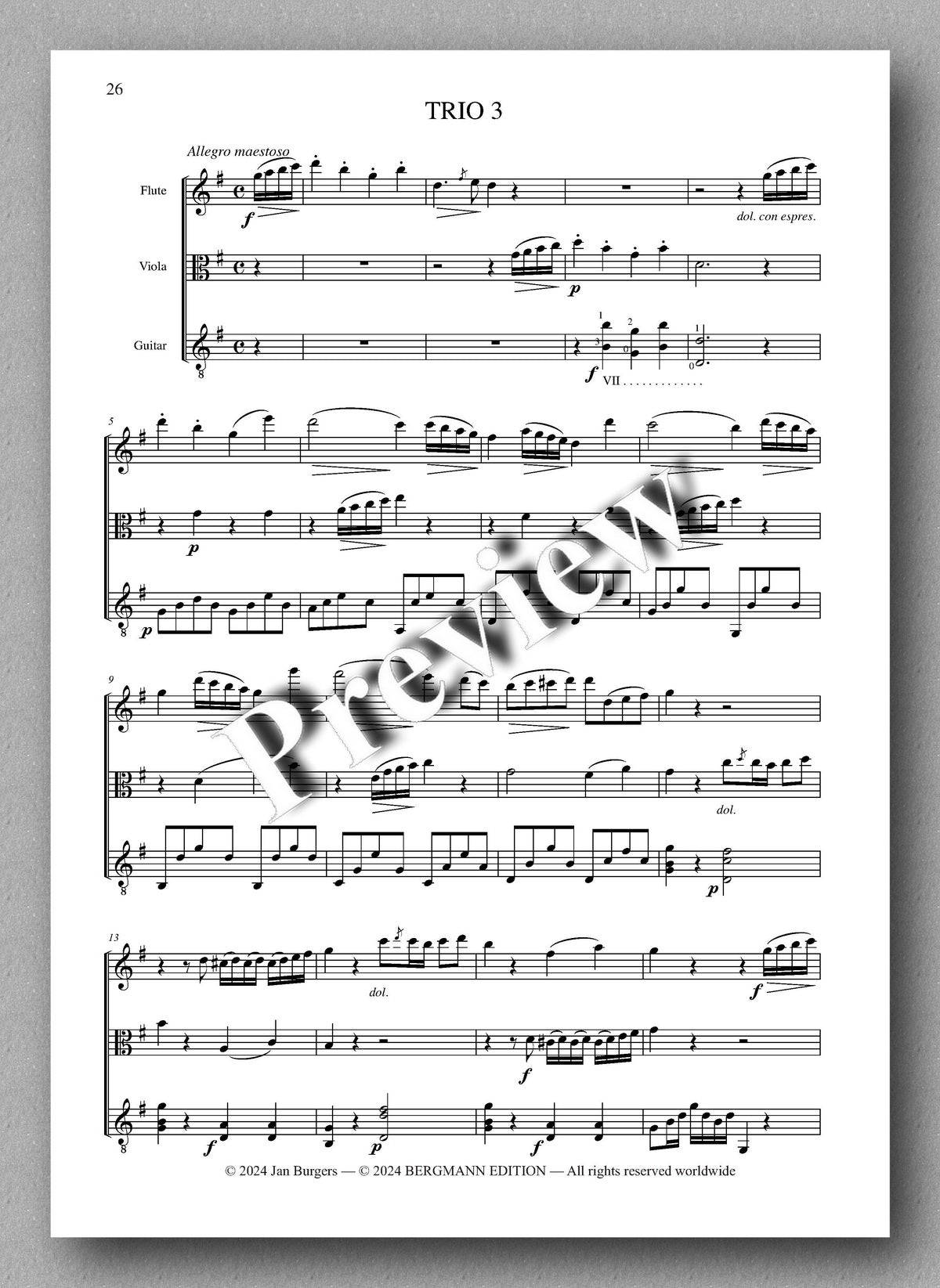 Francesco Molino, Three Trios for Flute, Viola and Guitar (Opus 19) - preview of the music score 3