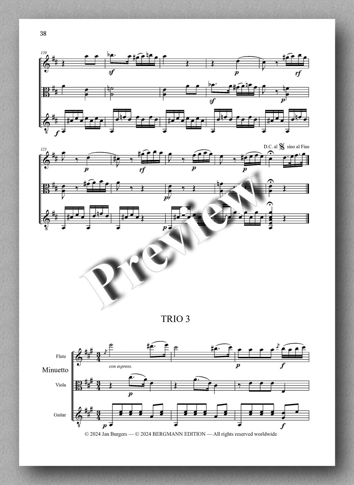 Francesco Molino, Three Trios for Flute, Viola and Guitar (Opus 4) - preview of the music score 3