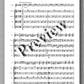 Concertino № 1 by Brent Parker - preview of the music score 3