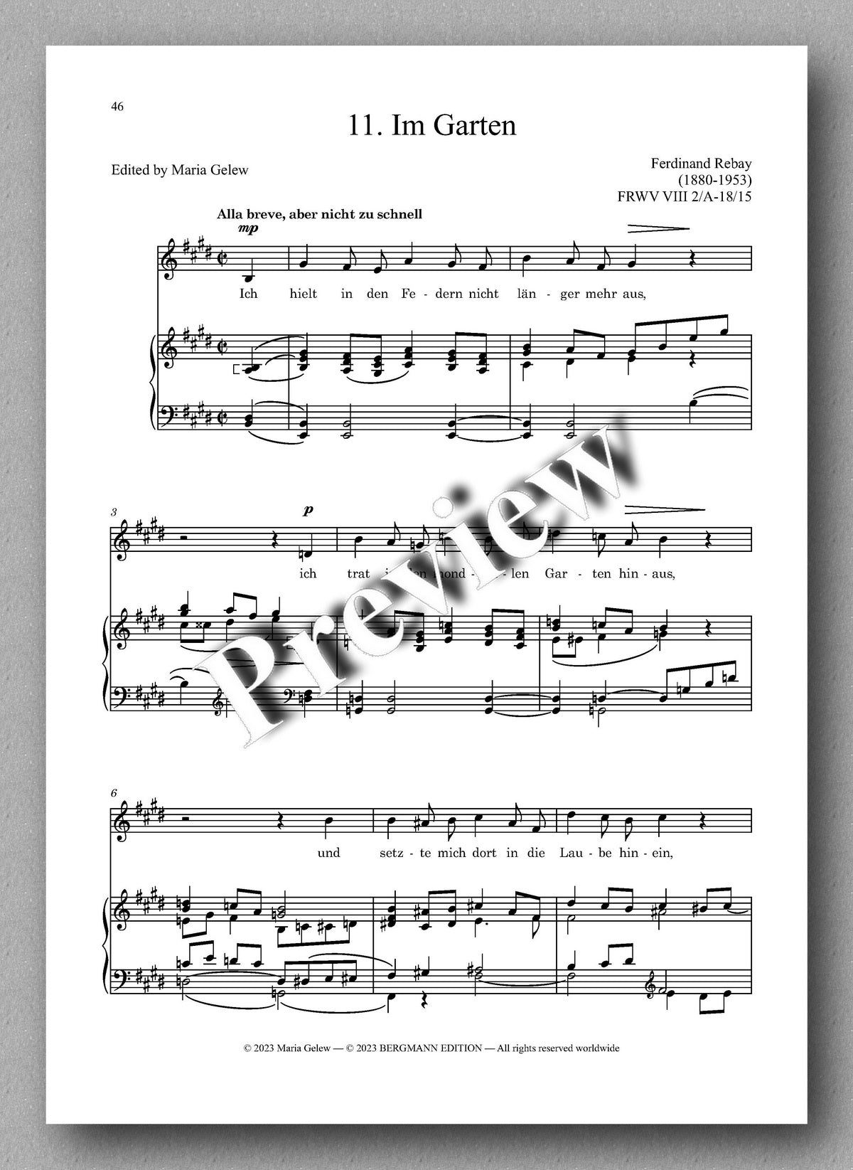 Rebay, Des Schmiedegesellen Leid und Glück - preview of the music score 6