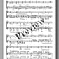 Ferdinand Rebay, Variationen über das alte Deutsche Volkslied: “In meines Buhlen Gärtelein…” - preview of the music score 2