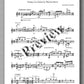 Raveliana No. 1 by Konstantin Vassiliev - preview of the music score 1