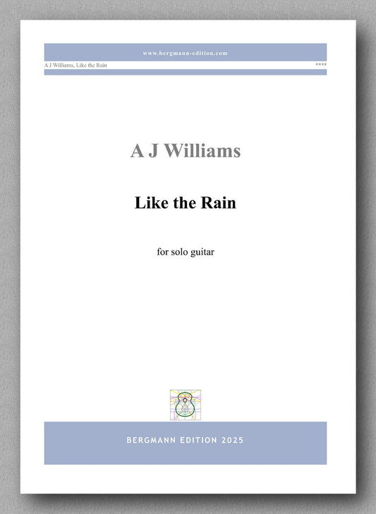Andrew J Williams, First Fall - preview of the cover