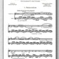 Rebay [032], Drei kleine Vortrags-Stücke für Klarinette und Gitarre - preview of the score 3