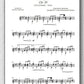 Rebay [050], Transkriptionen von berühmte Werke - preview of the score 2