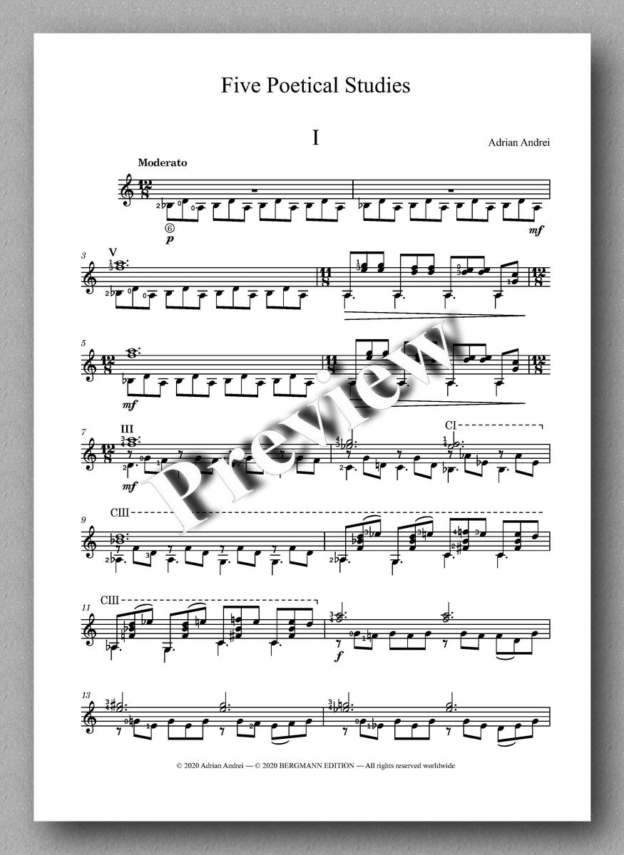 Adrian Andrei, Five Poetical Studies - preview of the study 1