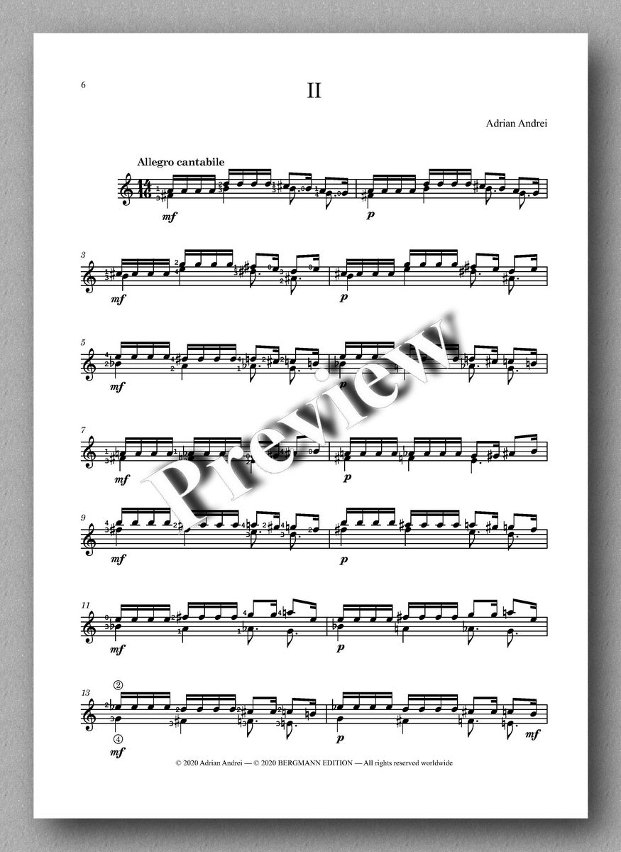 Adrian Andrei, Five Poetical Studies - preview of the study 2