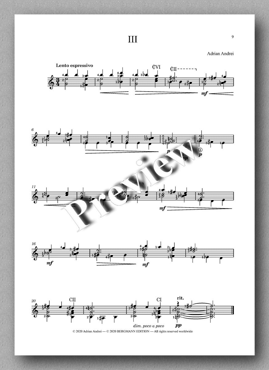 Adrian Andrei, Five Poetical Studies - preview of the study 3