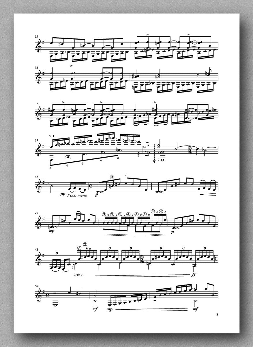 Lytle, Brouwer and the Canon - preview of the score 2