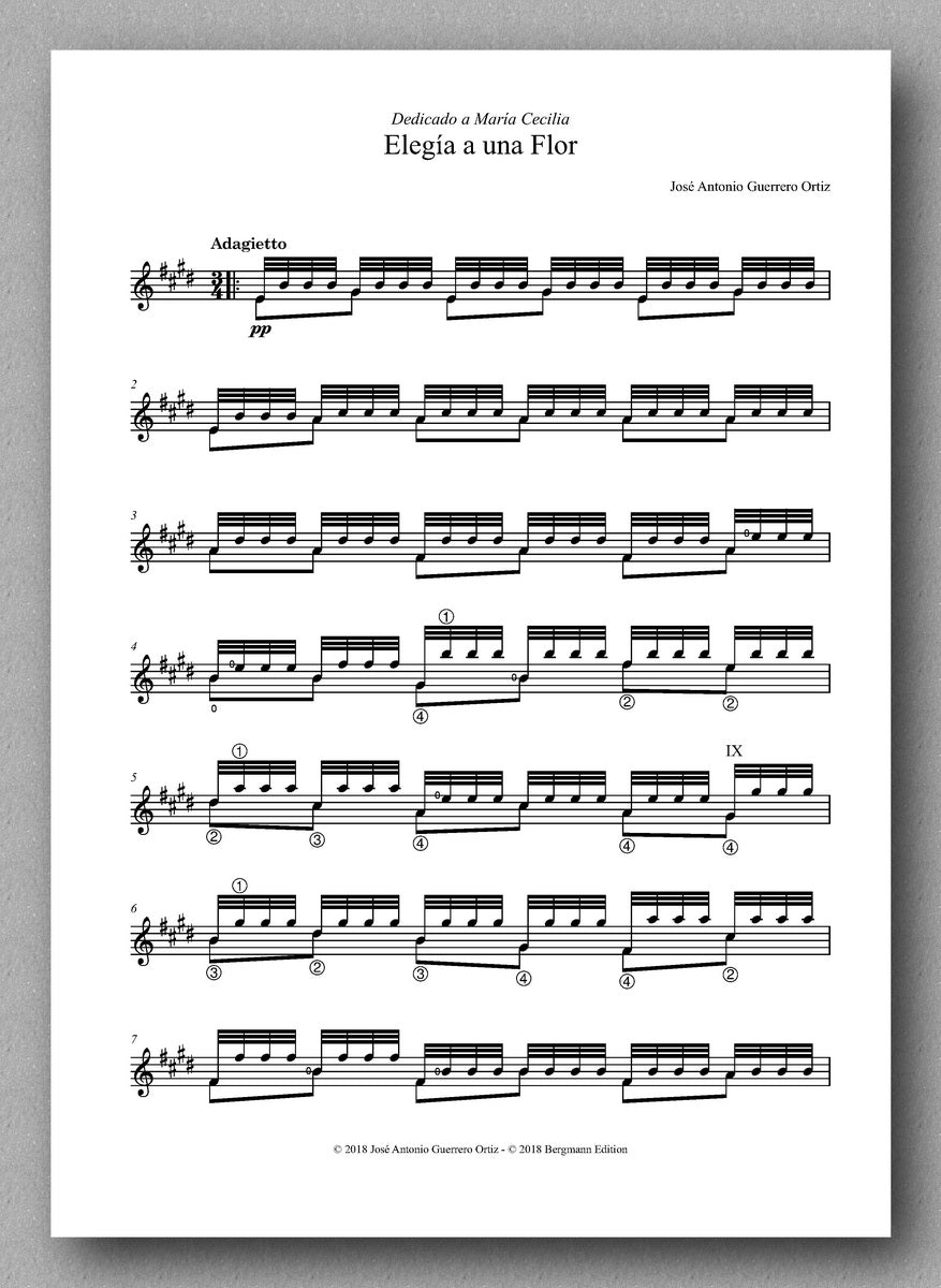 Ortiz-Elegía a una Flor - preview of the score