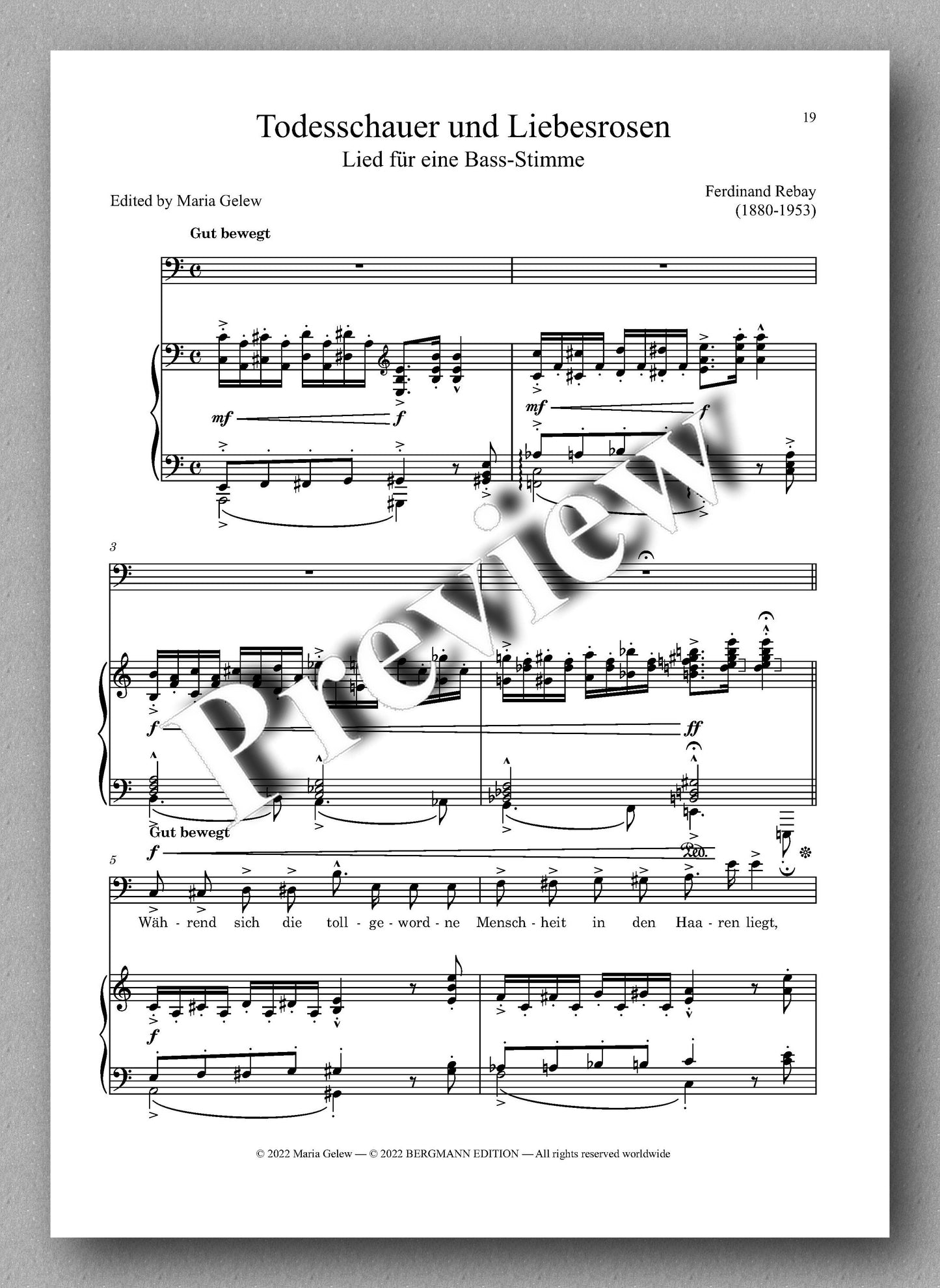 Ferdinand Rebay, Lieder nach eigenen Texten (1916-1917) - Preview of the music score 3