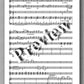 Rebay [150], Brahms, Kaiser-Walzer - preview of the music score 2