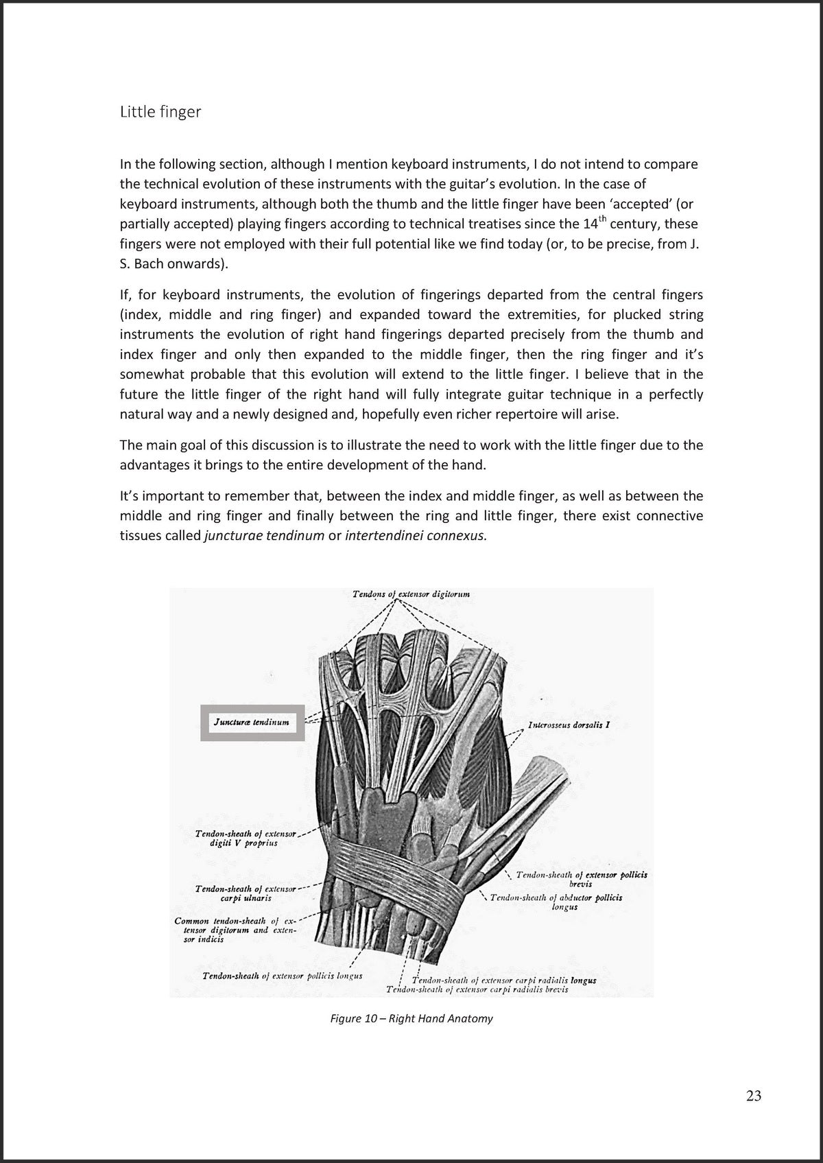 Rodrigues, The Breathing Hand - preview of page 23