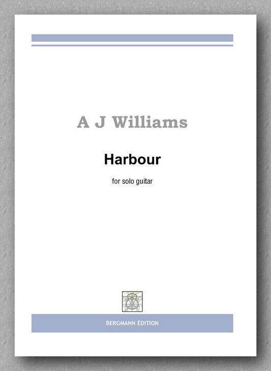 Andrew J Williams, Harbour - preview of the cover