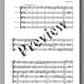 Filip Alilovic, Souvenirs de Berne - preview of the music score 2