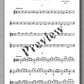 Adrian Andrei, Études à Sor - preview of the music score 1