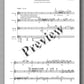 Agustín Castilla Ávila, Chant for the Sun of the Last Day - preview of the music score 1