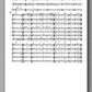 Roland Chadwick, Concerto Canarios - preview of the music score 3
