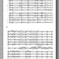 Roland Chadwick, Concerto Canarios - preview of the music score 1