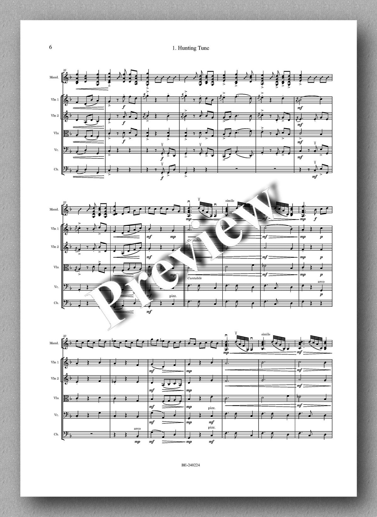 Roland Chadwick, Mandolin Concerto, "Diana of the Uplands" - preview of the score 2