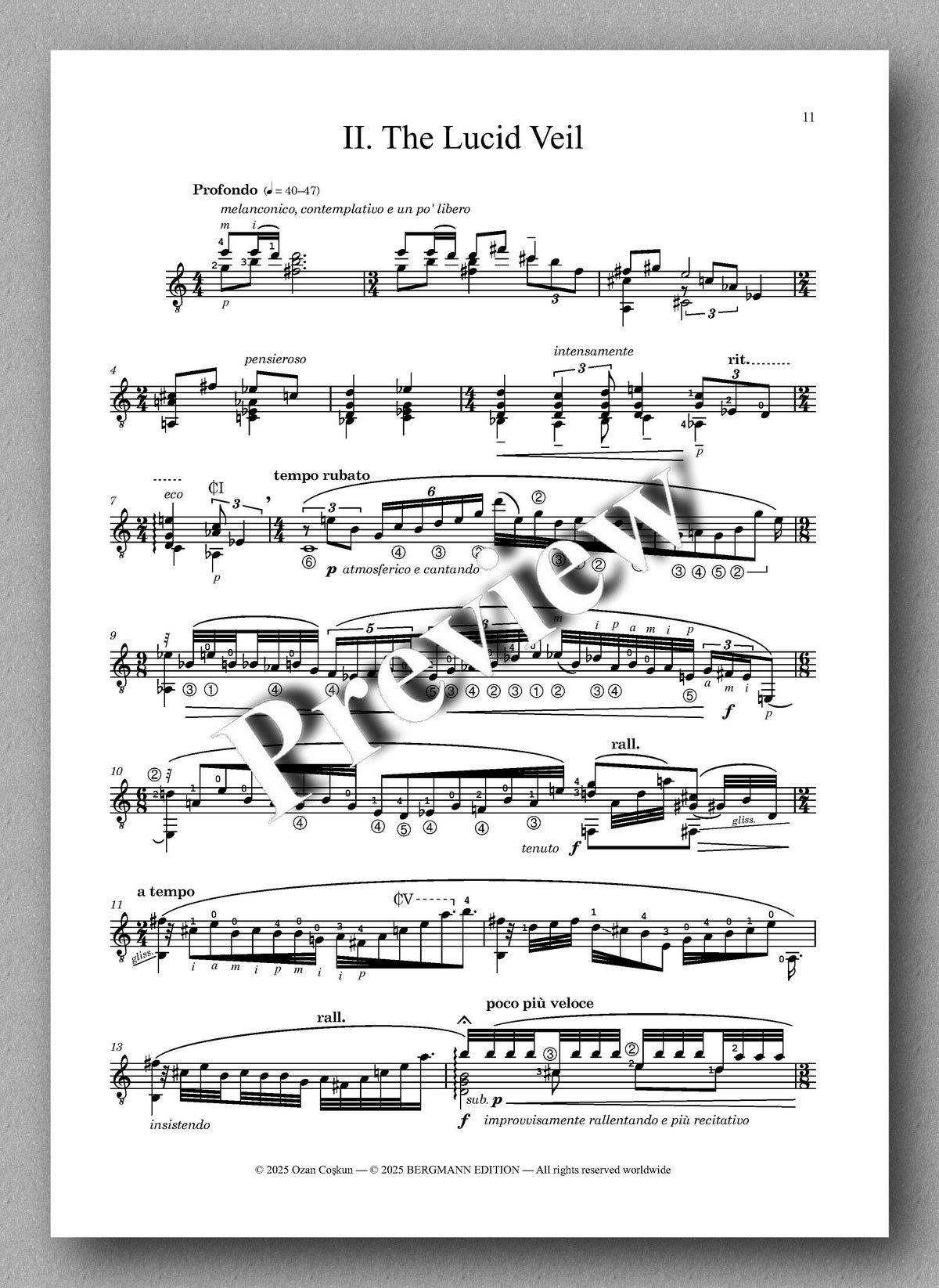Ozan Coskun (Coşkun),&nbsp;The Holistics - preview of the Music Score 2