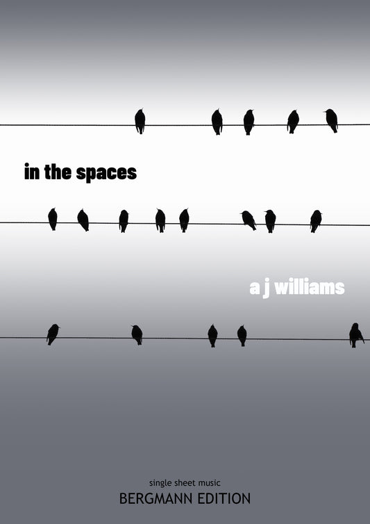 A J Williams, In the Spaces