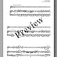 Charles Doisy, Grand Duo Concertant - preview of the music score 3