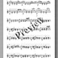 Black Dog by Simon Farintosh - preview of the music score 2