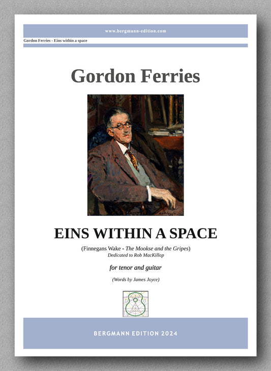 Gordon Ferries, Eins Within a Space - preview of the cover