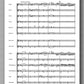 Giuliani-Tabisz, GRAND CONCERTO, Op. 30
