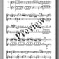 Joseph Haydn, Sonata - preview of the music score 2