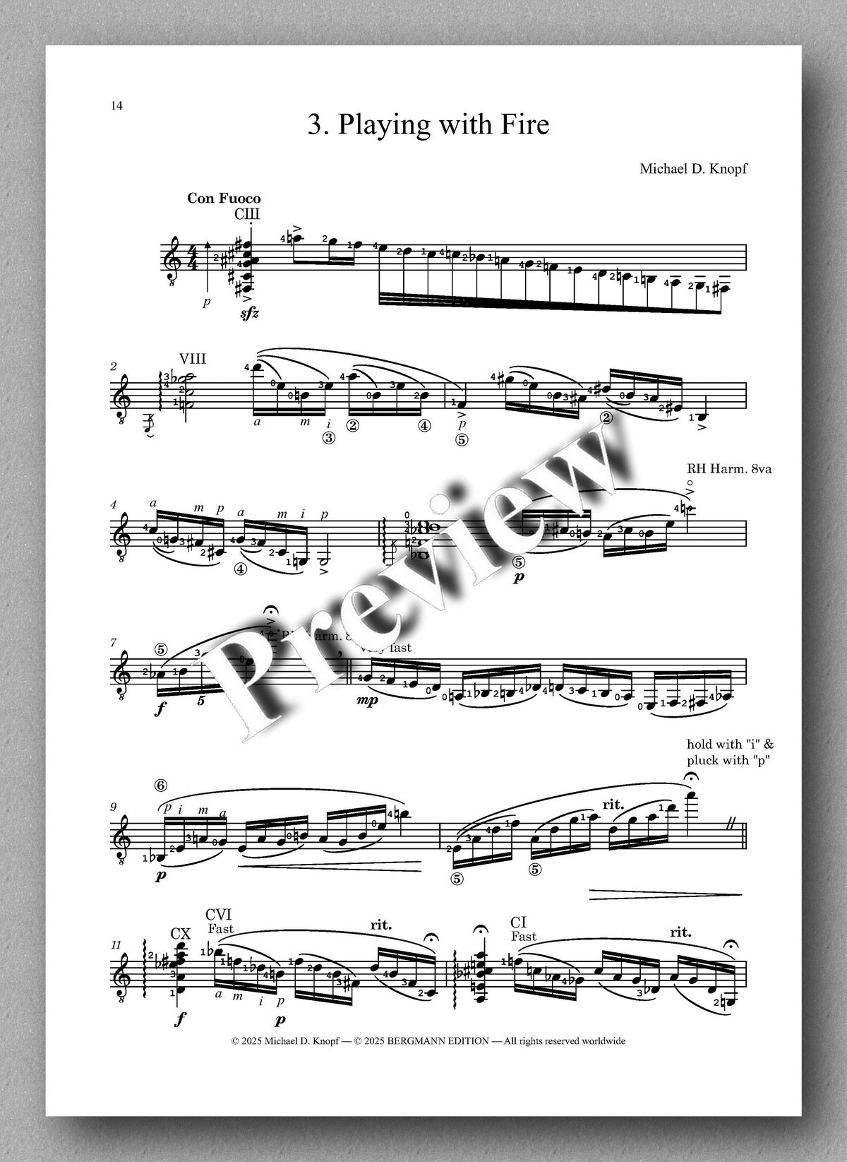 Sheet music for a musical piece titled 'Playing with Fire' by Michael D. Koepf on a white background.
