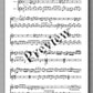Francesco Molino, Three Duets for Violin and Guitar (Opus 3) - preview of the music score 3