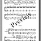 Francesco Molino, Three Duos for Flute or Violin and Guitar (Opus 16) - preview of the music score 2