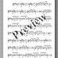 Molino, Collected Works for Guitar Solo, Vol. 31 - preview of the music score 5