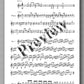 Molino, Collected Works for Guitar Solo, Vol. 7 - preview of the Music score 2