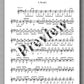 Molino, Collected Works for Guitar Solo, Vol. 16 - preview of the music score 4