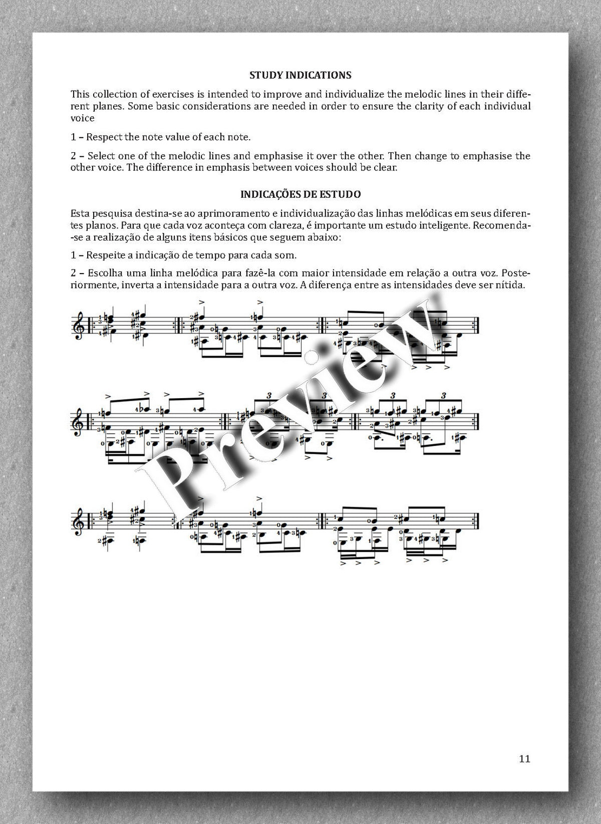 Voices, Book 5, by Jovane E.R. Oliveira,  preview of the instructions