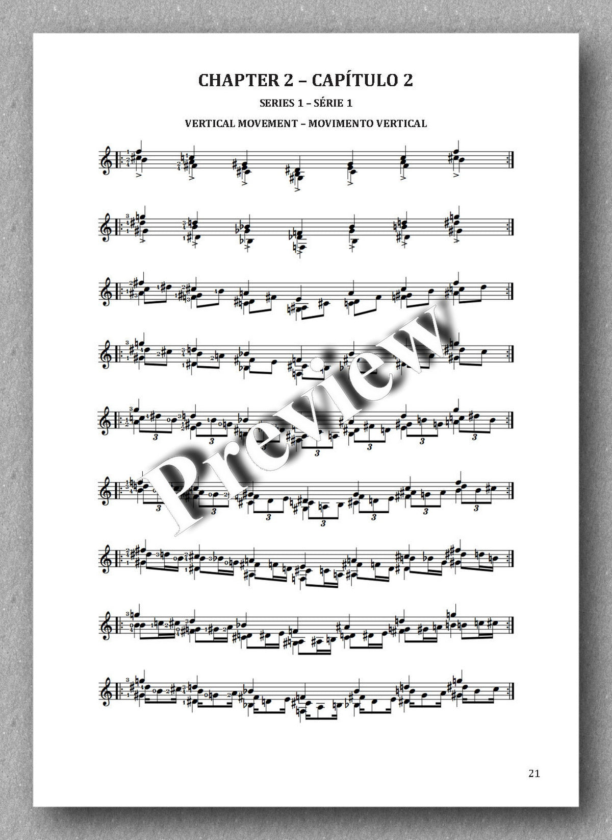 Voices, Book 5, by Jovane E.R. Oliveira,  preview from chapter 2