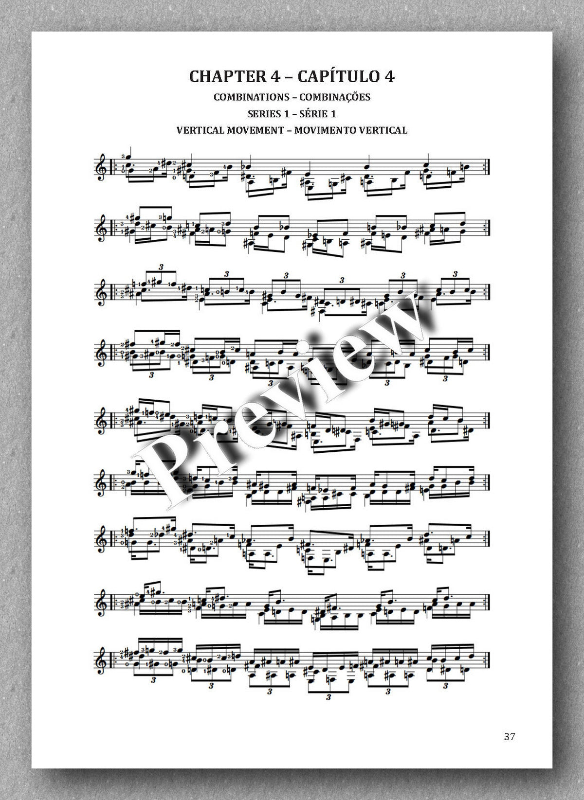 Voices, Book 5, by Jovane E.R. Oliveira,  preview from chapter 4