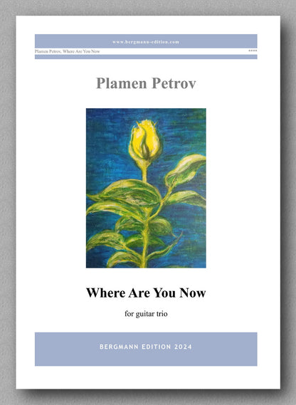 Where Are You Now, guitar trio by Plamen Petrov - preview of the cover