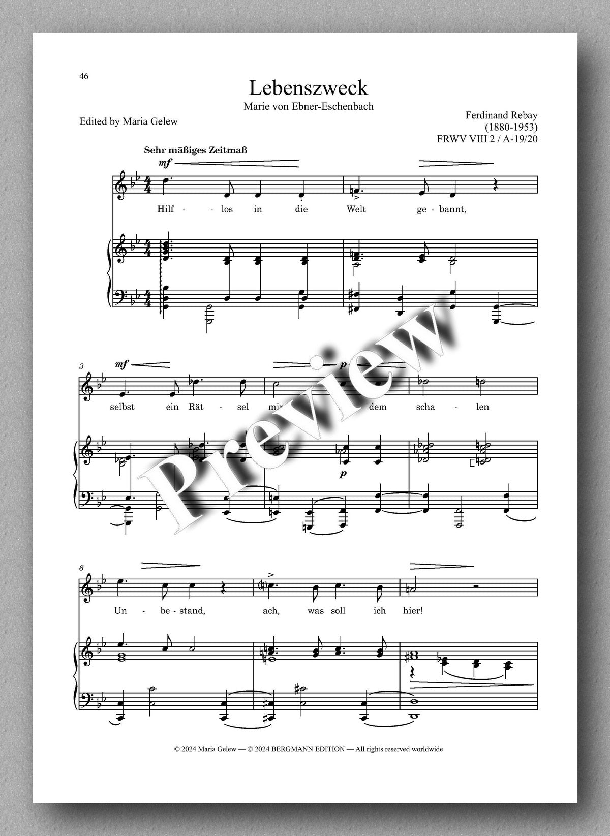 Rebay, Lieder No. 16, Lieder nach Gedichten verschiedener Dichter - preview of the music score 4