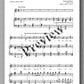Ferdinand Rebay, Lieder nach Gedichten von Ottokar Kernstock und Kurt Falk - preview of the music score 3