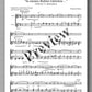 Ferdinand Rebay, Variationen über das alte Deutsche Volkslied: “In meines Buhlen Gärtelein…” - preview of the music score 1