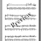 Ashkan Saberi, Sonata No. 1 - preview of the music score 3