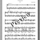 Ashkan Saberi, Sonata No. 1 - preview of the music score 1